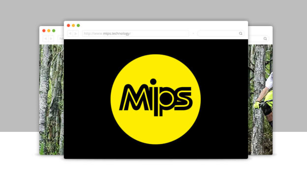 template-portfolio-screenshot-mips
