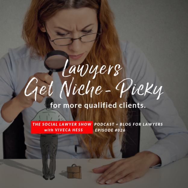 Lawyers Get Niche-Picky