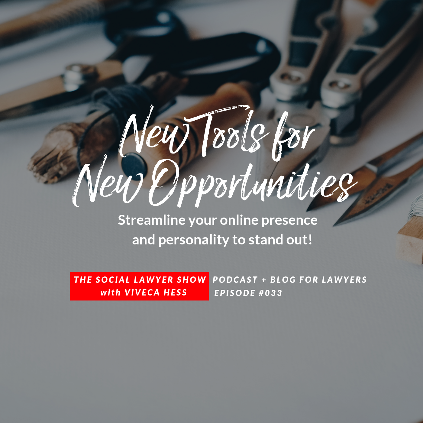 New Tools, New Opportunities for Lawyers